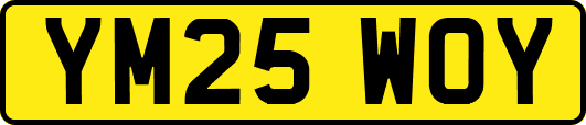 YM25WOY