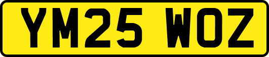 YM25WOZ