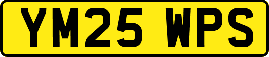 YM25WPS