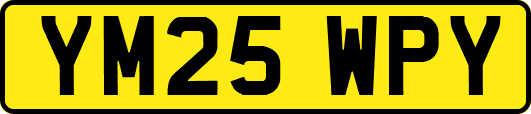 YM25WPY