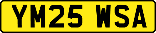 YM25WSA