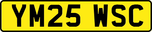 YM25WSC