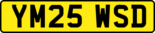 YM25WSD