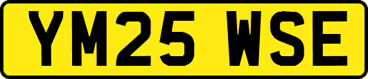 YM25WSE