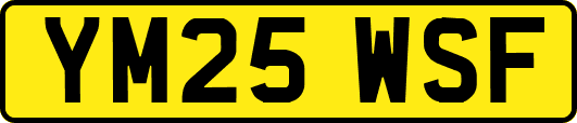 YM25WSF