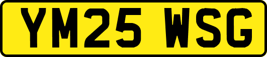YM25WSG
