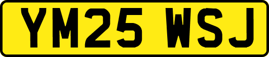 YM25WSJ