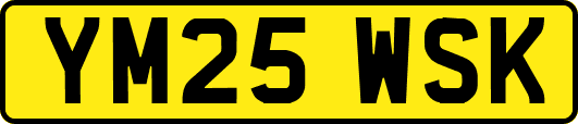 YM25WSK