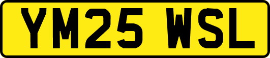 YM25WSL