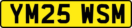 YM25WSM