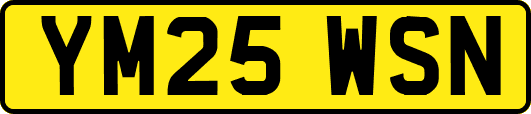 YM25WSN
