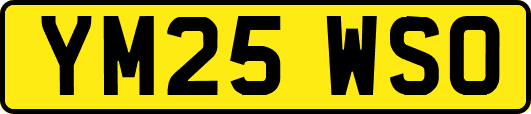 YM25WSO