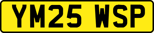 YM25WSP