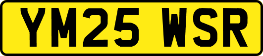 YM25WSR