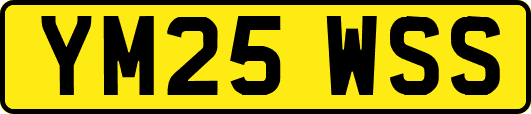YM25WSS