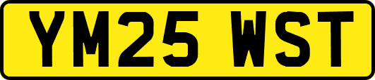 YM25WST