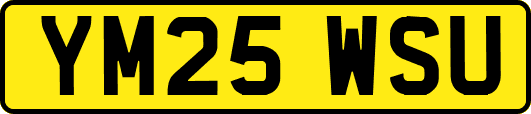 YM25WSU