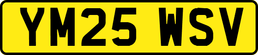 YM25WSV