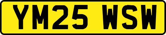 YM25WSW