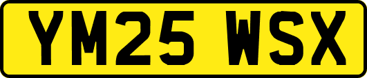 YM25WSX