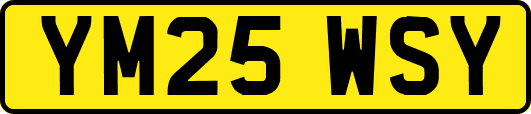 YM25WSY