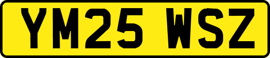 YM25WSZ