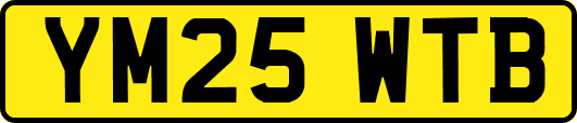 YM25WTB