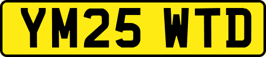 YM25WTD