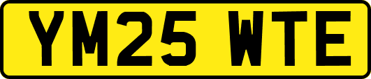 YM25WTE