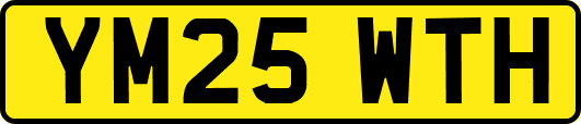 YM25WTH