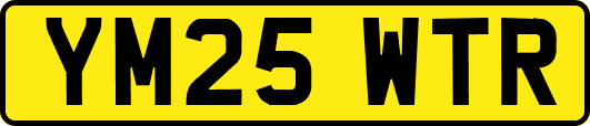 YM25WTR