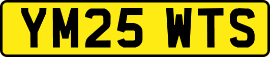 YM25WTS