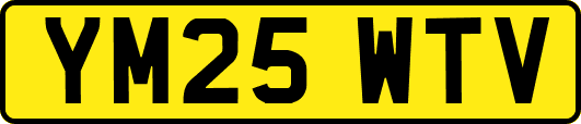 YM25WTV