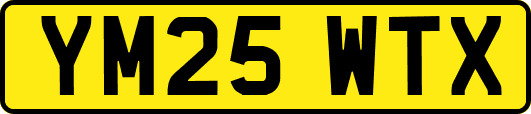 YM25WTX