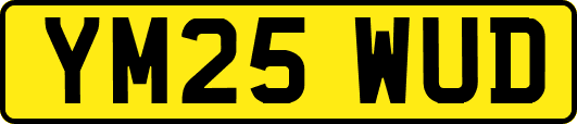 YM25WUD