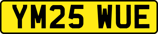 YM25WUE