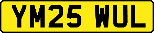 YM25WUL