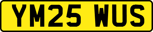 YM25WUS