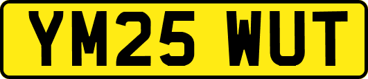 YM25WUT