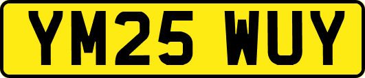 YM25WUY