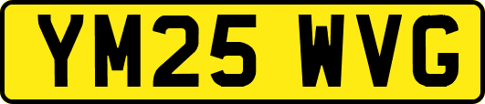 YM25WVG