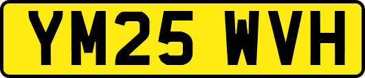 YM25WVH