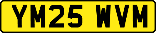 YM25WVM