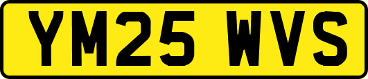 YM25WVS