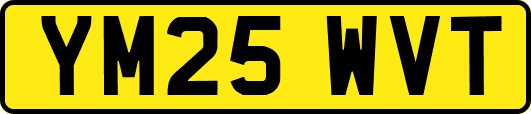 YM25WVT
