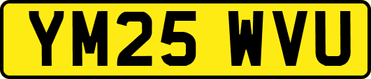 YM25WVU
