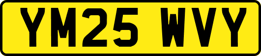 YM25WVY