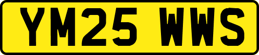 YM25WWS