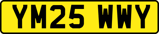 YM25WWY