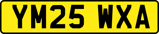 YM25WXA